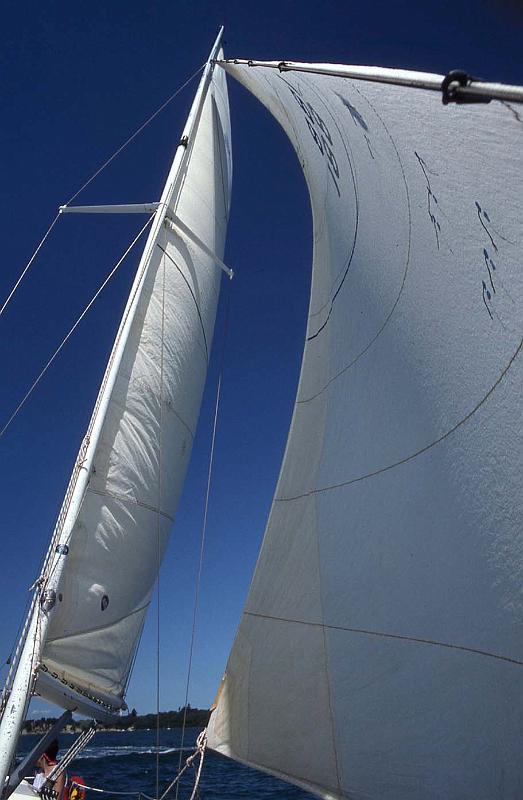 WT 0200 015-07 New Zealand Sailing Auckland Bay.jpg